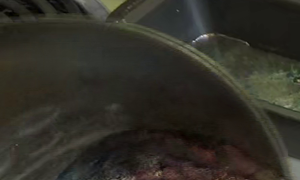 Out x265.mp4 crop.png