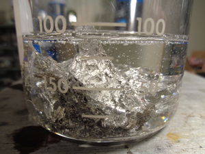DSC00610.JPG